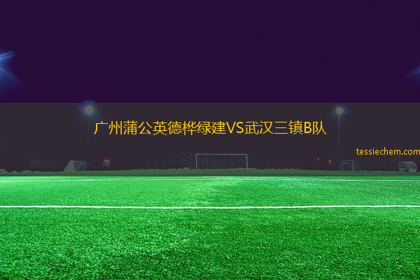 广州蒲公英德桦绿建VS武汉三镇B队