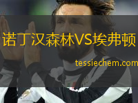 诺丁汉森林VS埃弗顿