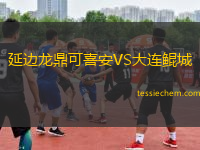 延边龙鼎可喜安VS大连鲲城