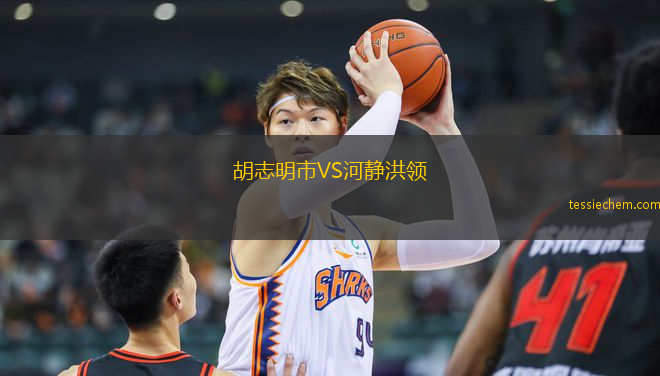 胡志明市VS河静洪领